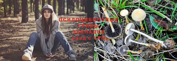 мескалин Осинники
