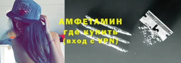 прущие грибы Няндома