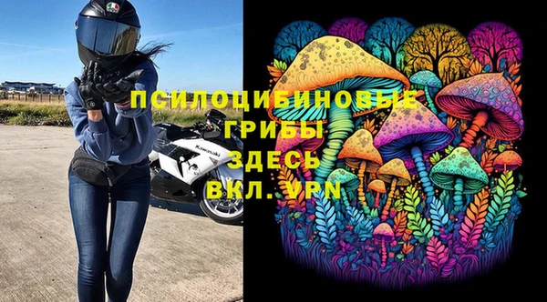 ГАЛЛЮЦИНОГЕННЫЕ ГРИБЫ Осташков
