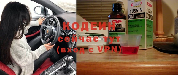 прущие грибы Няндома