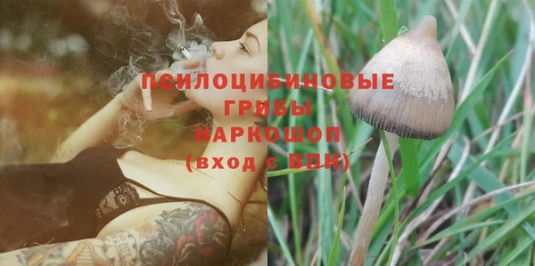 ГАЛЛЮЦИНОГЕННЫЕ ГРИБЫ Осташков