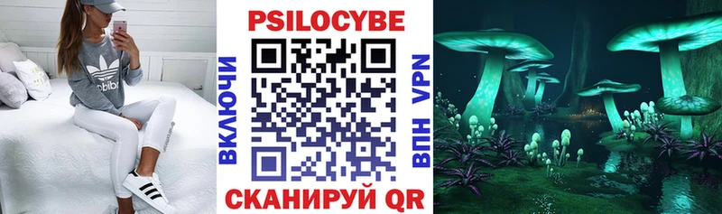 Купить  Таруса  Галлюциногенные грибы Psilocybe 
